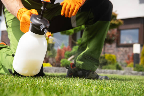 Professional Pest Control in Cavalier, ND