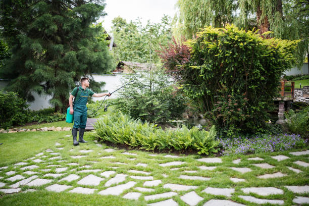 Best Pest Prevention Services  in Cavalier, ND