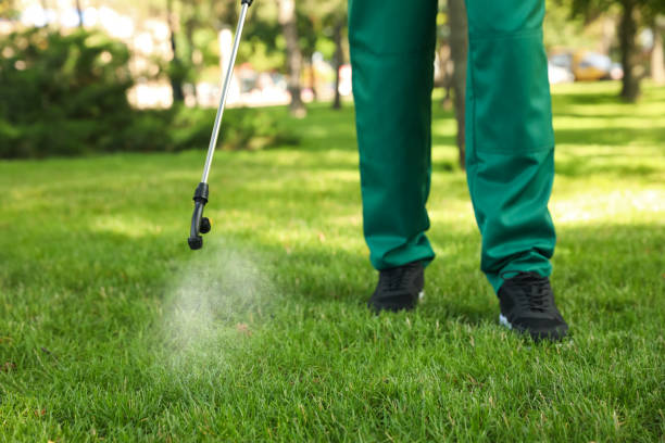 Best Pest Inspection Near Me  in Cavalier, ND
