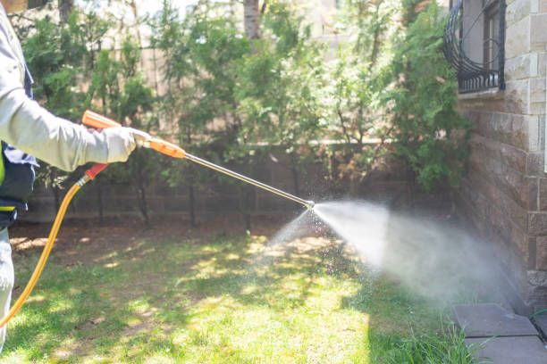 Best Affordable Pest Control Services  in Cavalier, ND